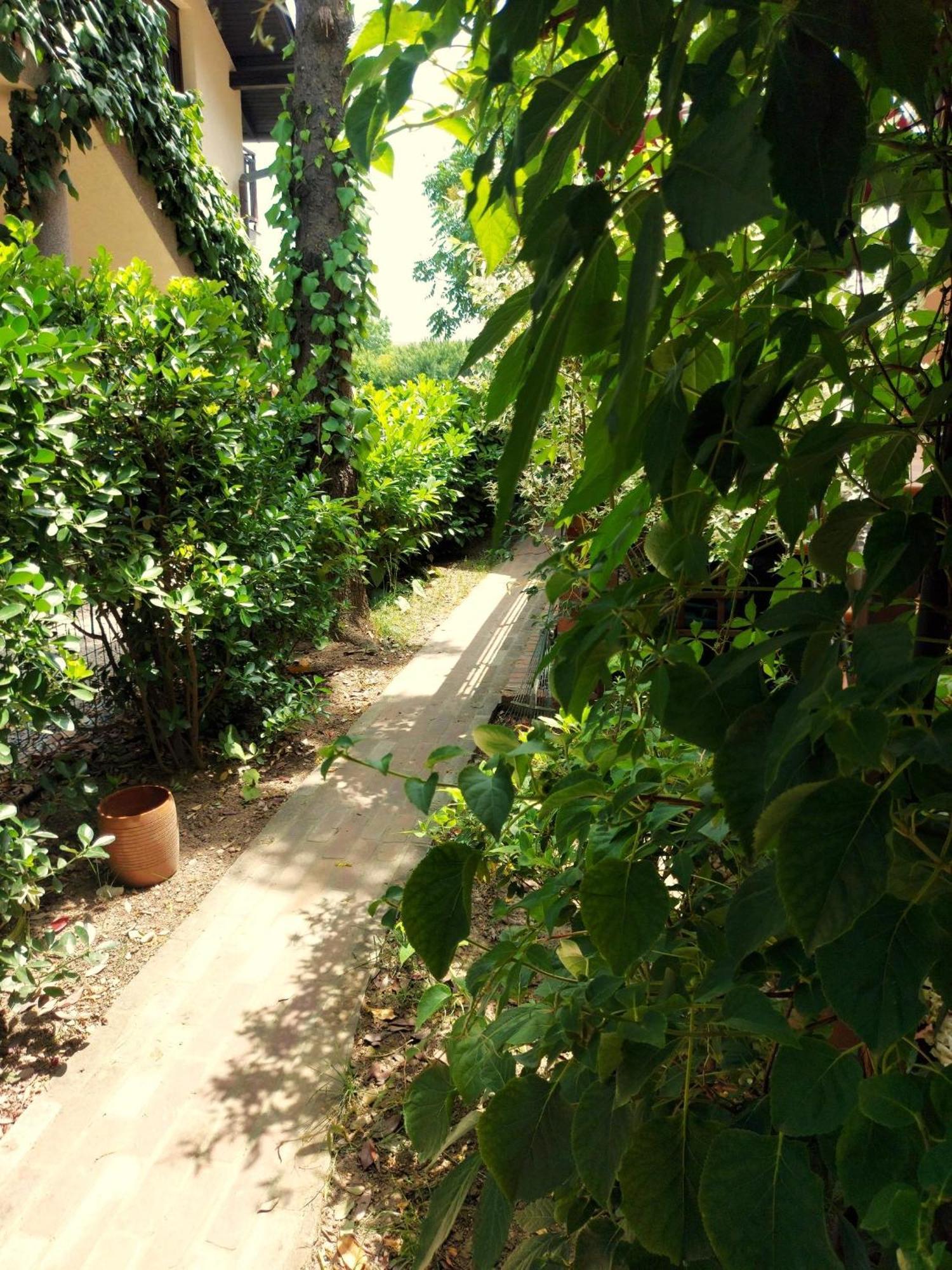 Eden Apartment Sveta Nedjelja  Екстер'єр фото